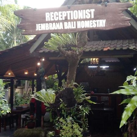 Jembrana Bali Homestay Negara  Экстерьер фото