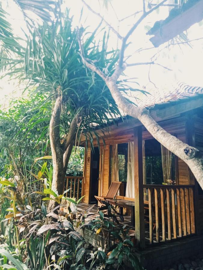 Jembrana Bali Homestay Negara  Экстерьер фото